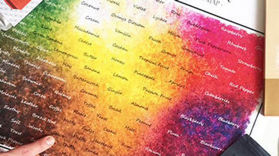 Agroverse and Mestre Bico Duro capoeira and cacao