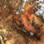 Photo by USGS on Unsplash