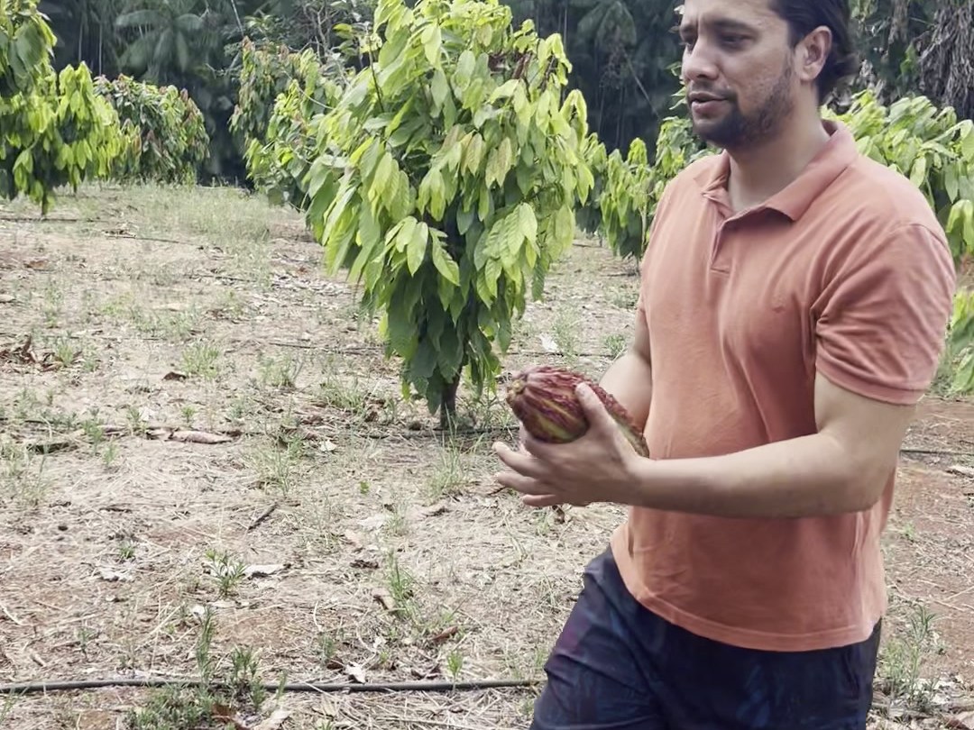 Jedielcio holds an open cacao pod showing the pulp-covered beans inside, on a farm bench in Pará