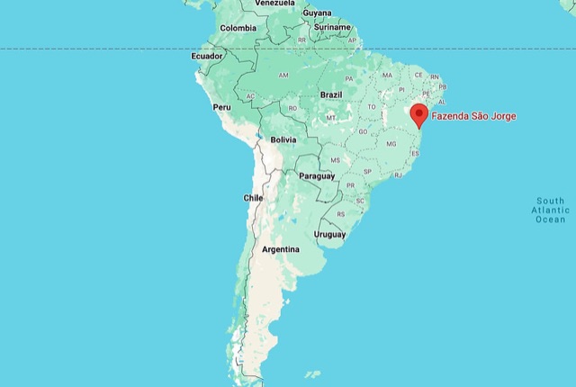 Ceremonial cacao from Brazil — respectful sourcing