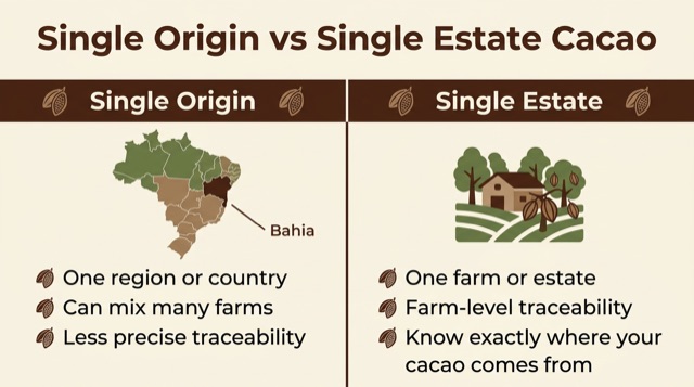 Single-estate Brazil cacao for chocolate brands