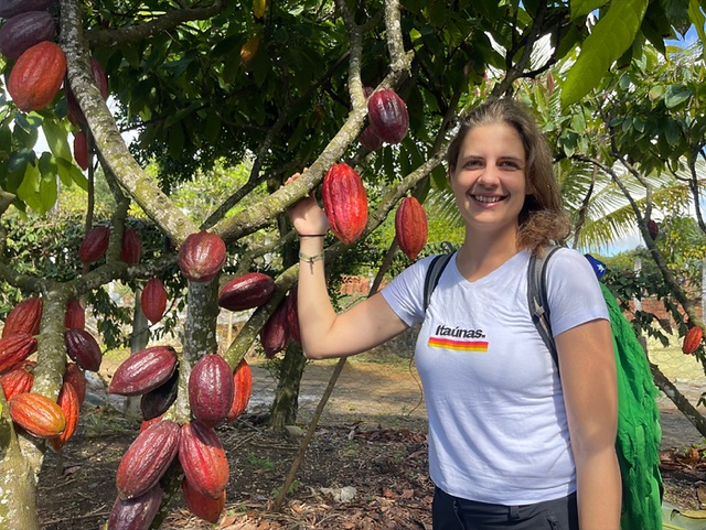 The Heart of Brazilian Cacao: Bahia and Amazon Origins
