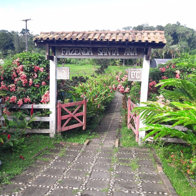 Wholesale Brazilian cacao buyer checklist