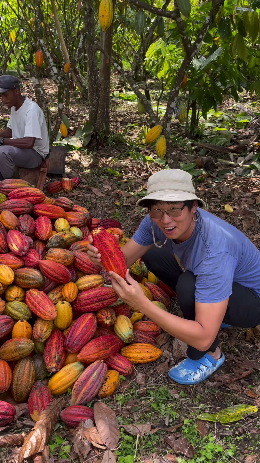 Bean to Bliss — Episode 10 — TikTok (transcript)