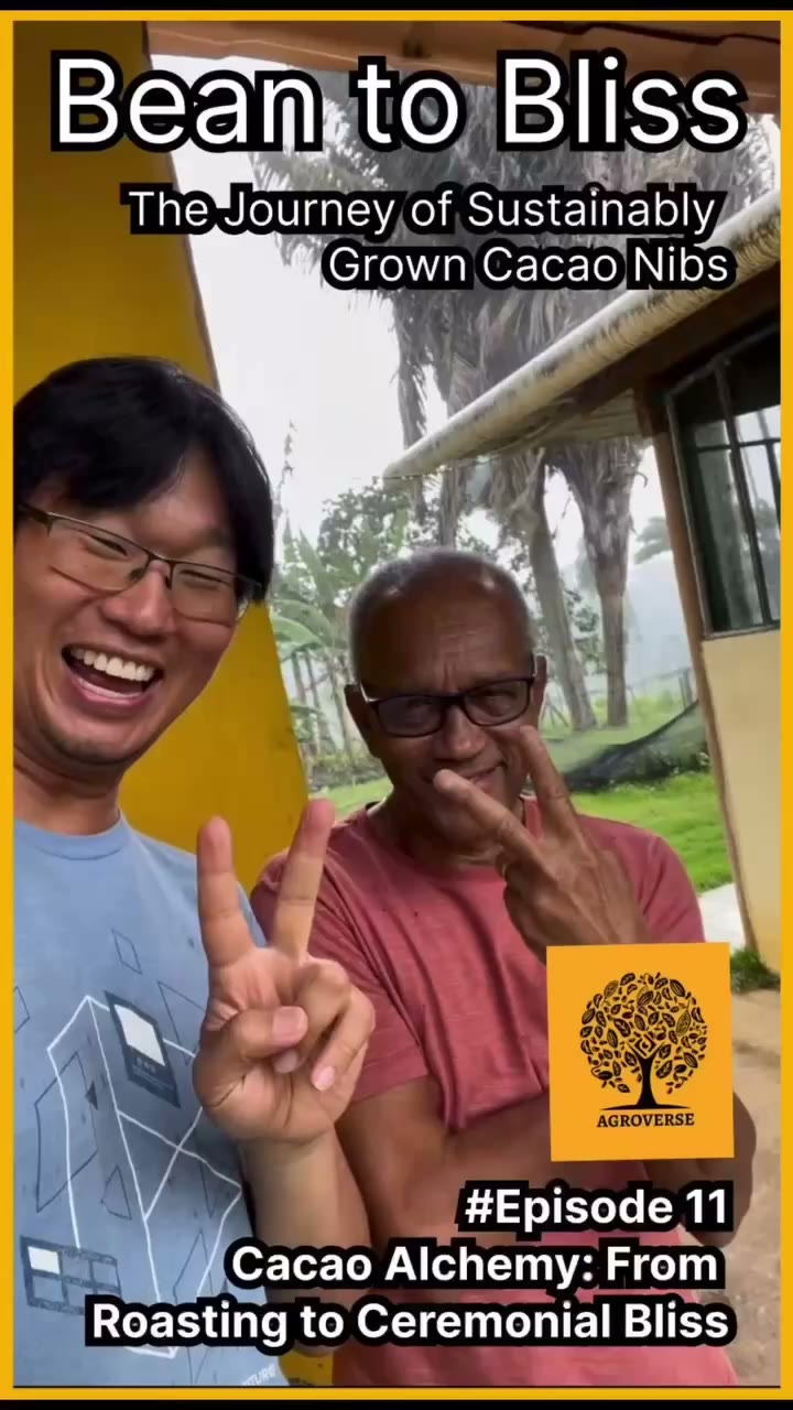 Bean to Bliss — Episode 11 (transcript)