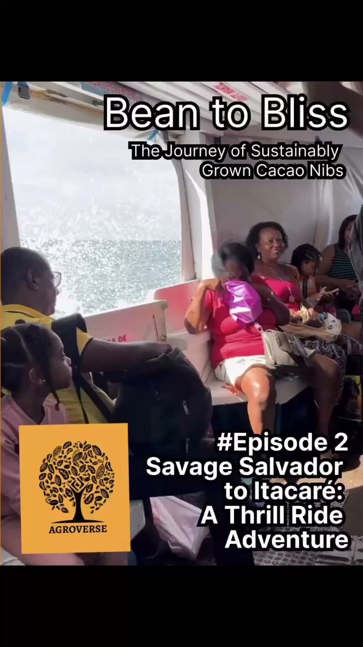 Bean to Bliss — Episode 2 (transcript)