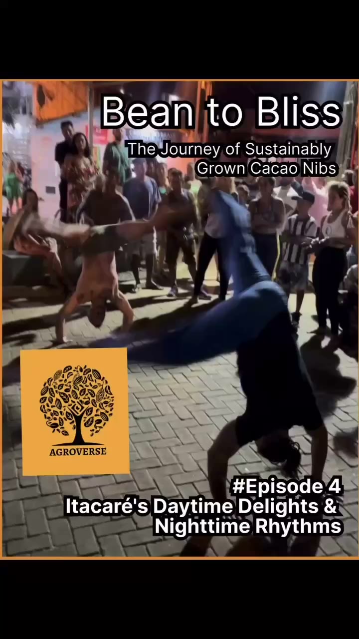 Bean to Bliss — Episode 4 (transcript)