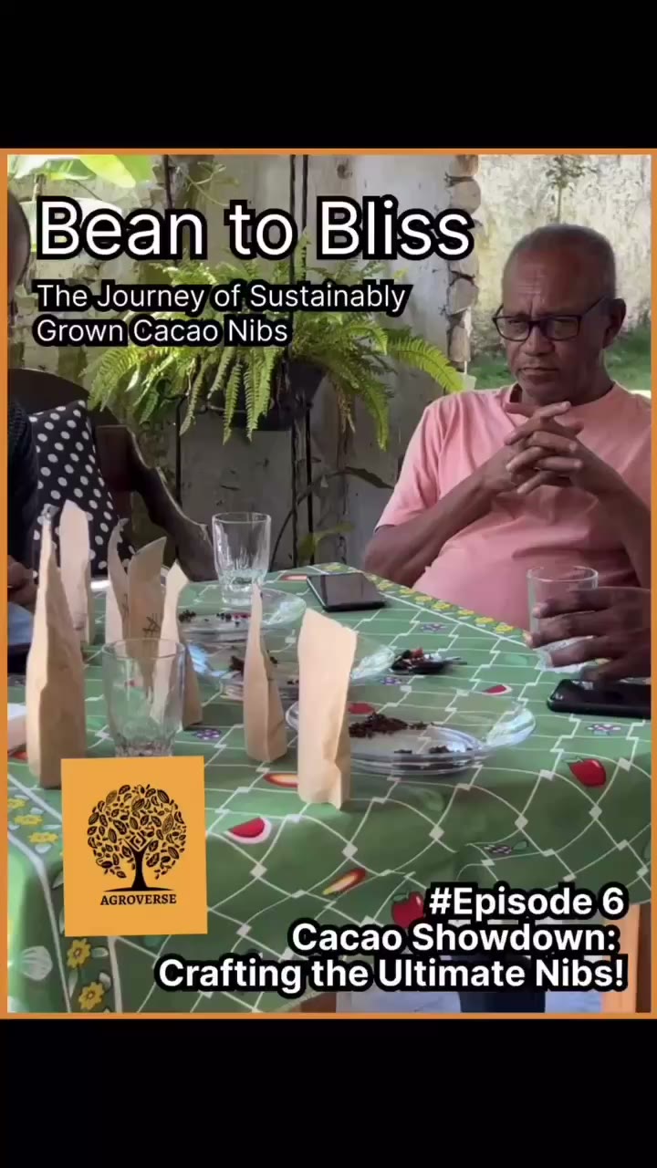 Bean to Bliss — Episode 6 (transcript)