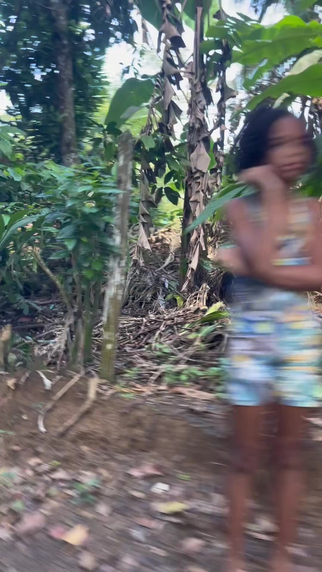 Cracking fresh cacao pods in the field (video & transcript)