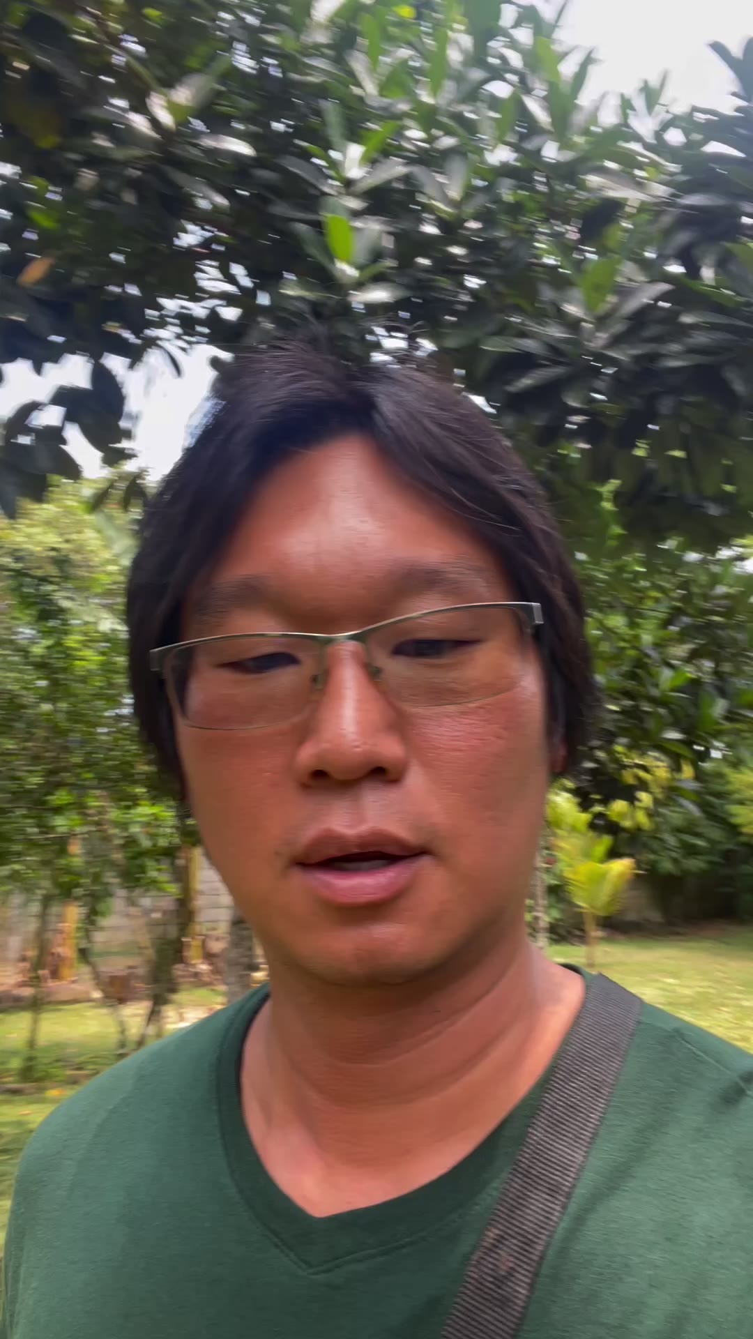 Day three sun-drying cacao on banana leaves (video & transcript)