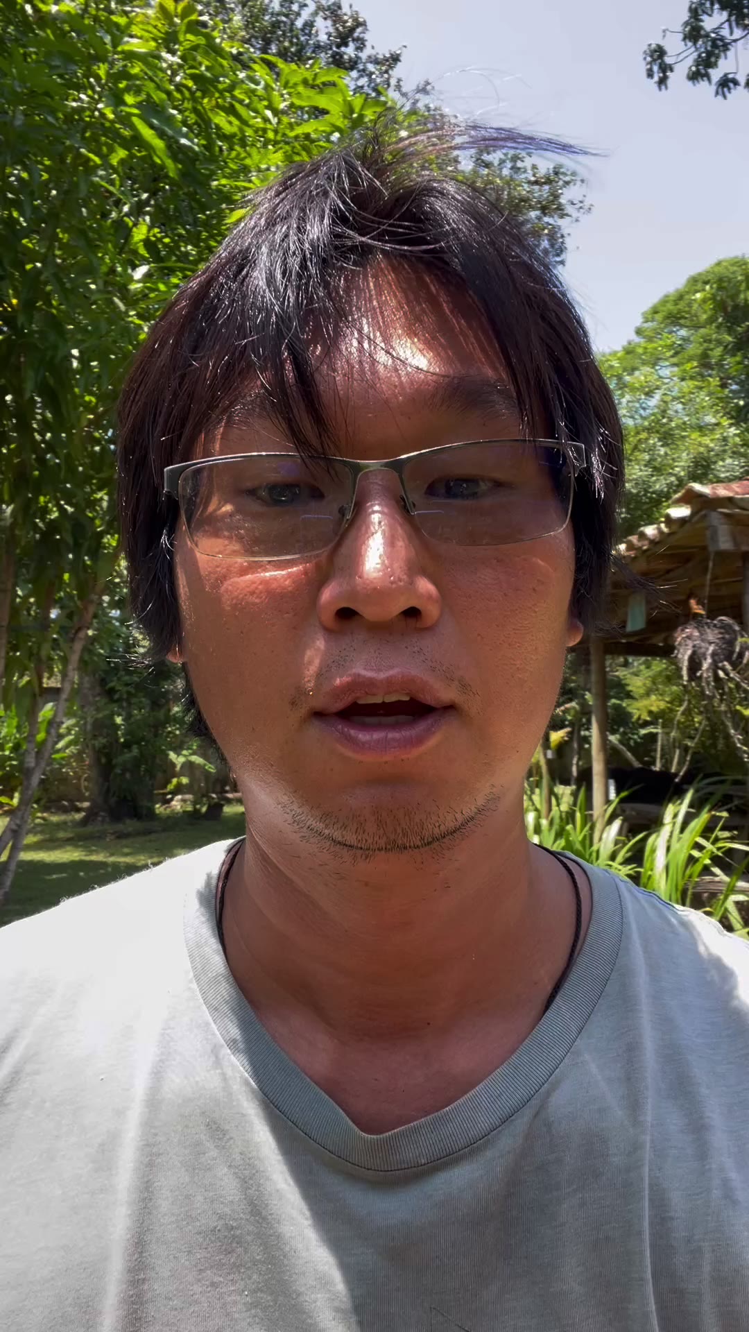 Opening the box after seven days of cacao fermentation (video & transcript)