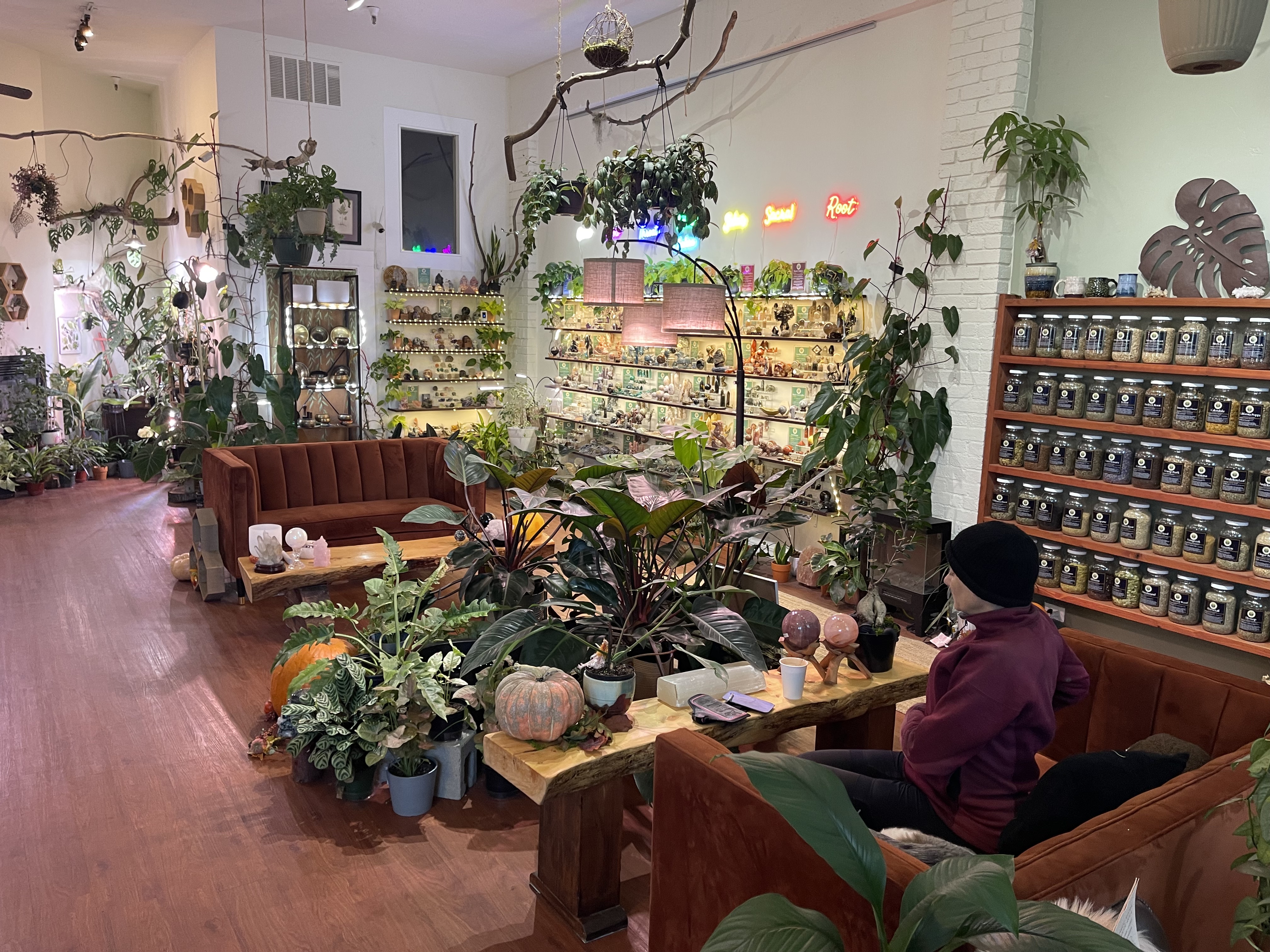 Sitting area in Lumin Earth Apothecary