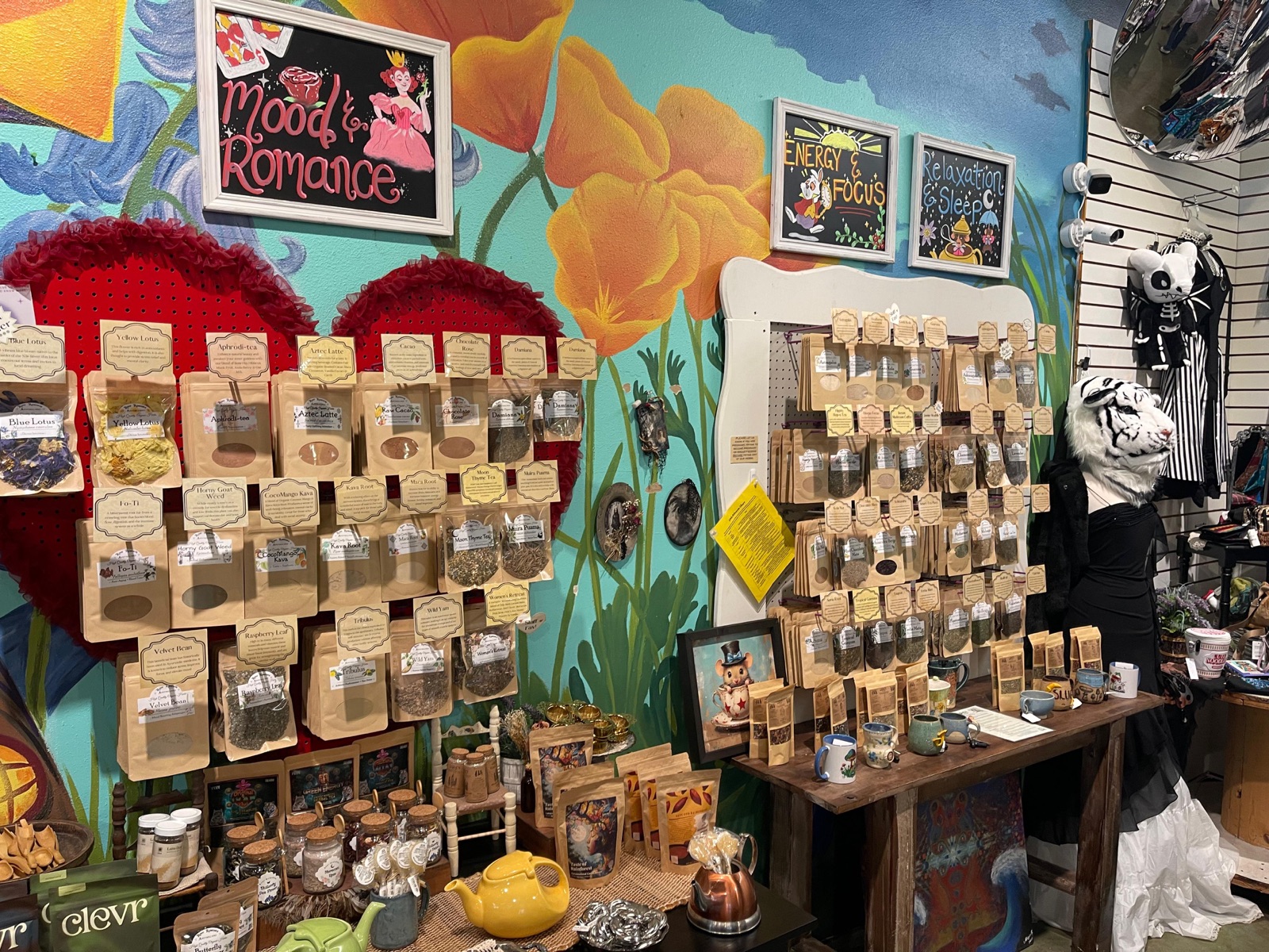 Agroverse on the shelves at Go Ask Alice, Santa Cruz